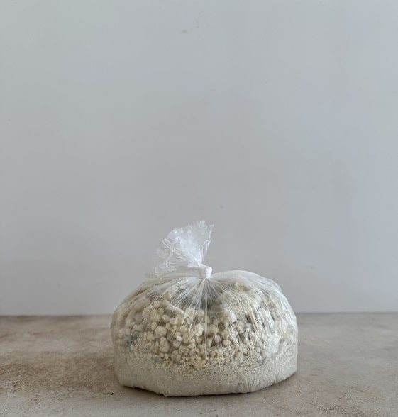 az küflü gümüşhane loru