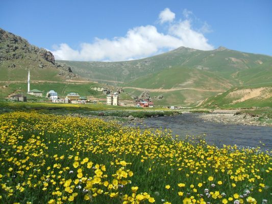 tasköprü yaylası