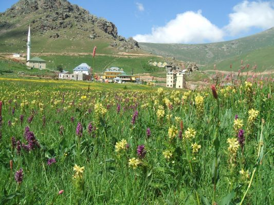 tasköprü yaylası